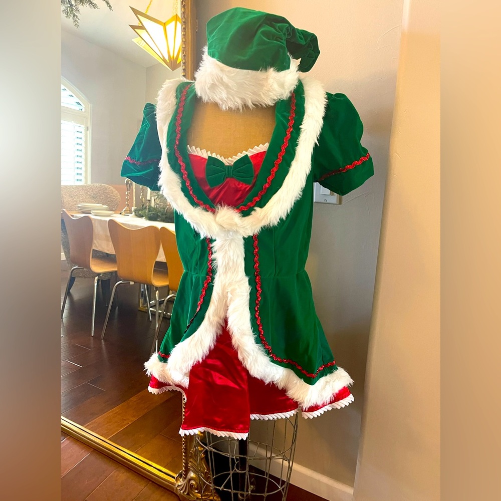 Mrs. Elf Costume mini dress, never worn.